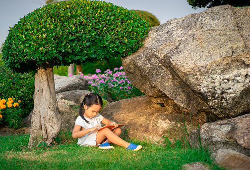 A little cute girl in a blue dress reading a book sitting in the park