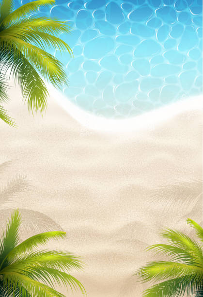 strand und meer hintergrund - sand beach summer backgrounds stock-grafiken, -clipart, -cartoons und -symbole