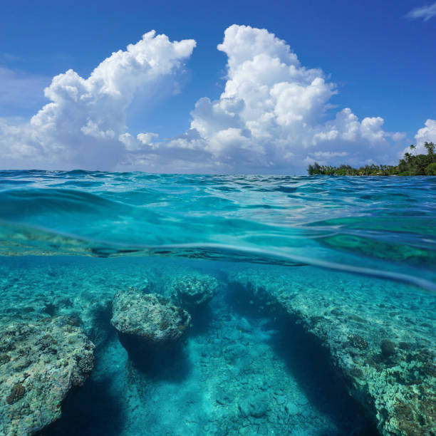 istock Seascape over under sea cloudy sky rocky seabed 1140455469