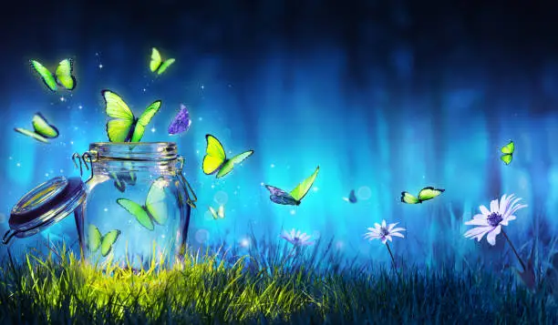 Butterflies Flying Out Of The Jar In The Night