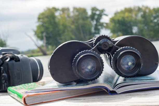 istock Gear for wildlife viewing - binoculars, field guides  and digital camera 1140457812