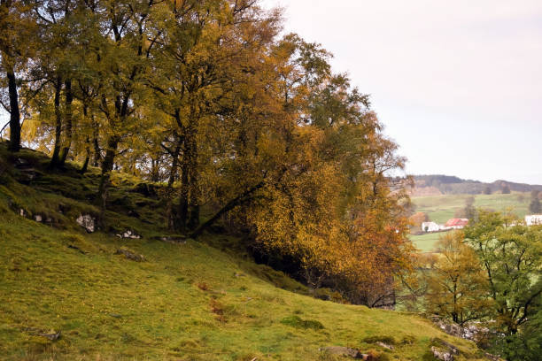 istock Colorful autumn landscape in the mountains. 1140457978