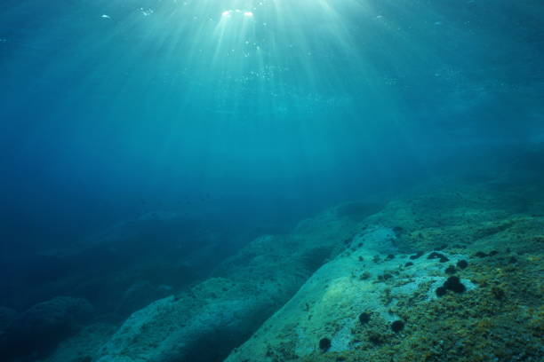 istock Sunlight underwater Mediterranean sea rocky seabed 1140458079