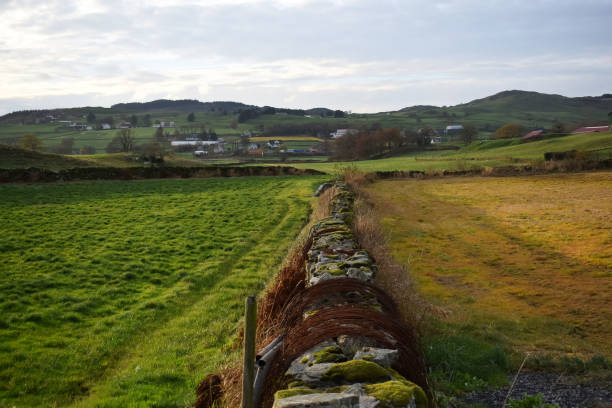 Norwegian pastures in the fall. Old stone fence. Typical Norwegian farm.