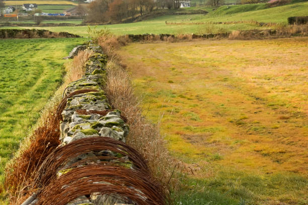 istock Norwegian pastures in the fall. Old stone fence. Typical Norwegian farm. 1140458893