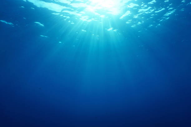 istock Underwater sunbeams water surface natural scene 1140460203