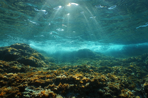 La luz del sol submarina marino mar Mediterráneo photo