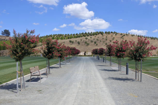 Pathway with flower trees at the National Arboretum Canberra Australia