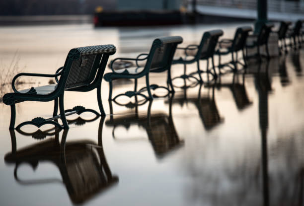 istock Flooded park along the Mississippi River 1140469326