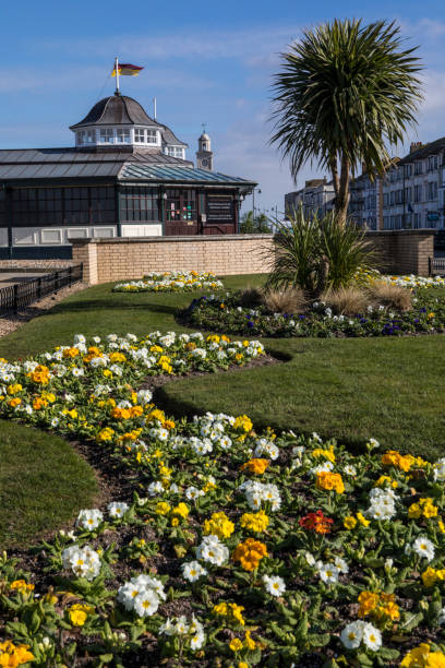 Waltrop Gardens in Herne Bay, Kent Kent, UK - February 21st 2019: View of flowers along the promenade at Herne Bay in Kent, England. The Central Bandstand and Clock Tower can be seen in the distance. herne bay photos stock pictures, royalty-free photos & images