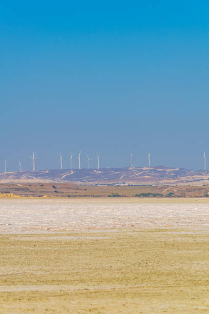 istock Wind energy farm erected over Larnaca Salt lake, Cyprus 1140469871