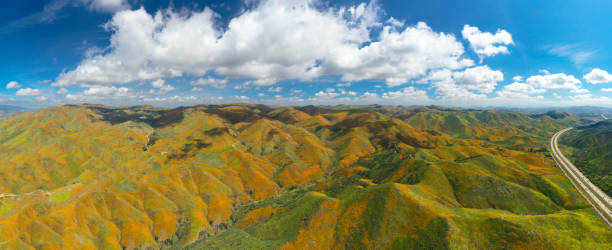 istock Walker Canyon California Super Bloom 1140474291