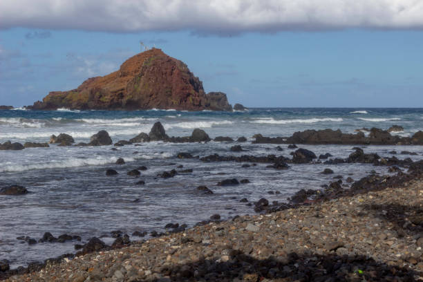 istock Bird Island viewed from the shore 1140475141