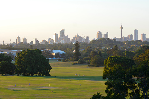 Sydney city skyline at sunset as view from Centennial Park in New South Wales, Australia.