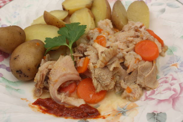 istock Tripe cooked in sauce served with potatoes in water 1140490559