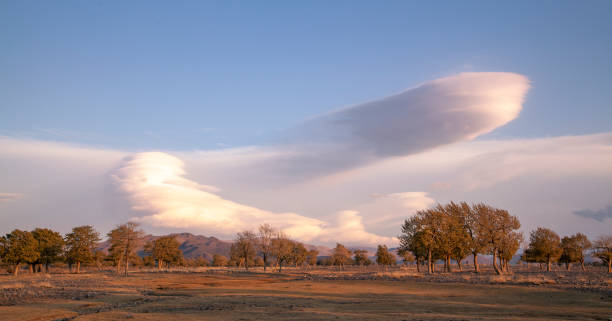 istock wild nature of Western Mongolia 1140492424