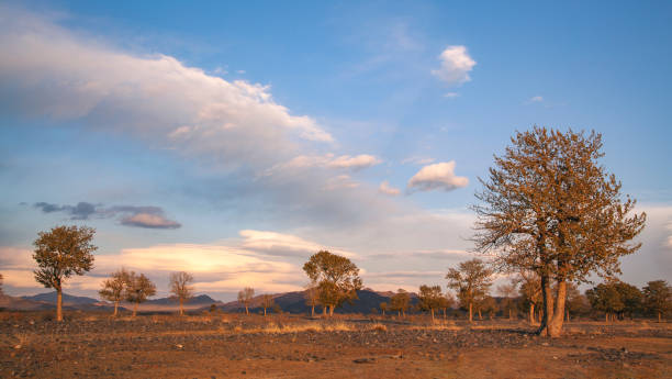 nature of western Mongolia