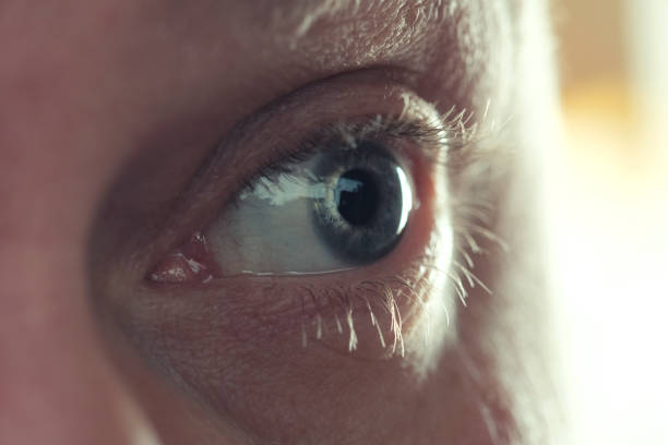 istock Eye adult man close up 1140492549
