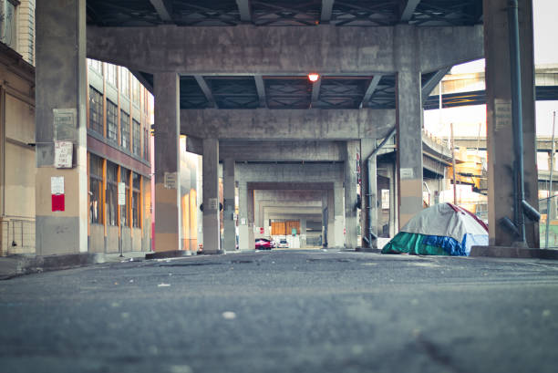 istock Life under the street 1140493240