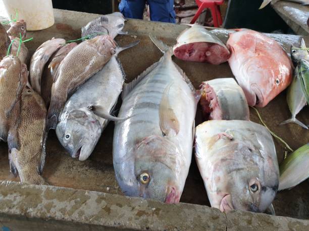 istock Fish market in africa 1140493469