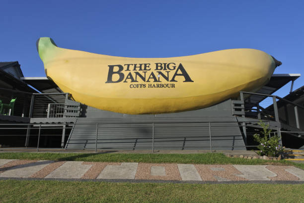 The Big Banana Fun Park Coffs Harbour, New South Wales Australia Coffs Harbour, New South Wales - February 12, 2019: The Big Banana Fun Park. The Big Banana is a tourist attraction and amusement park in the city of Coffs Harbour, New South Wales, Australia. coffs harbour stock pictures, royalty-free photos & images
