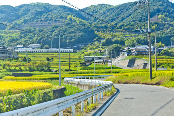 istock Rural scence at Awaji island 1140506157