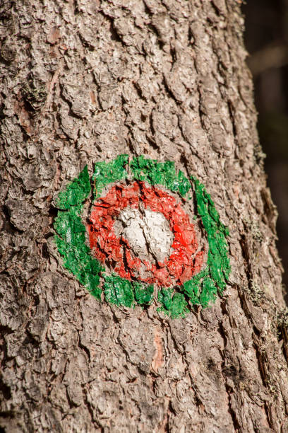 istock green red blaze on trail 1140508470