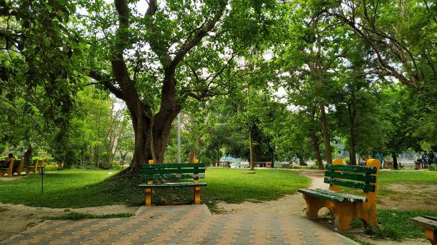 Rabindra Sarovar Lake, Kolkata, India