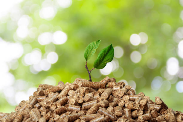istock Wood pellets on a green background. Biofuels. 1140512101