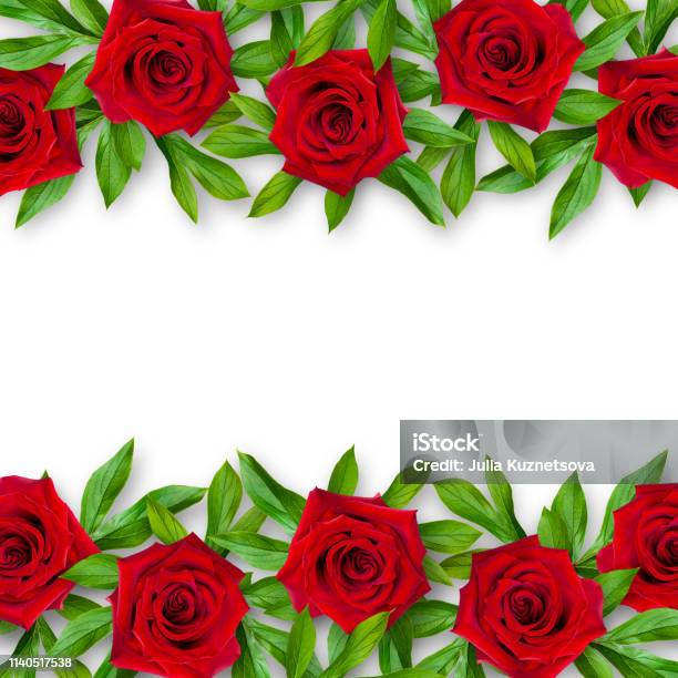 Fondo De Rosas Rojas Y Hojas Verdes Sobre Fondo Blanco Arreglo Horizontal De Flores Estilo Vintage Una Maqueta Foto de stock y más banco de imágenes de Acontecimiento - iStock Fondo De Rosas Rojas Y Hojas Verdes Sobre Fondo Blanco Arreglo Horizontal De Flores Estilo Vintage Una Maqueta Foto de stock y más banco de imágenes de Acontecimiento - iStock