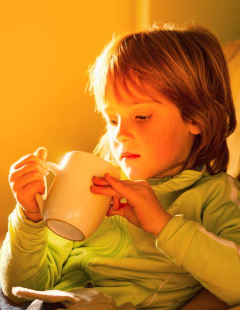 istock Children's breakfast Girl having breakfast 1140519493