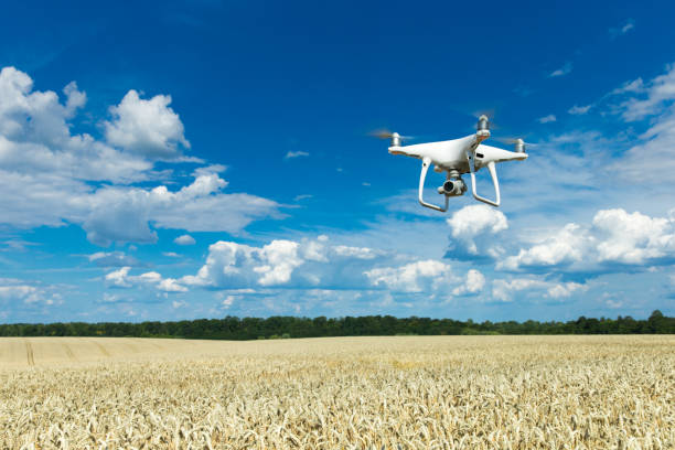 istock golden wheat field and sunny day 1140523667