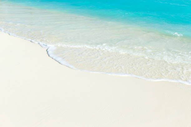 istock Maldives island with white sandy beach and sea 1140523697