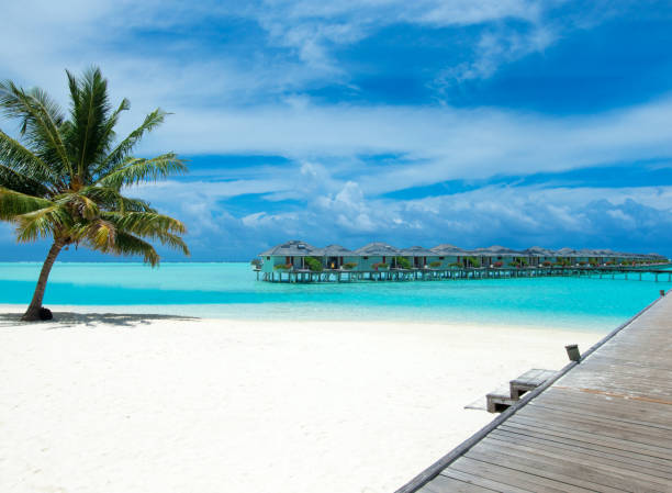 istock tropical Maldives island with white sandy beach and sea 1140523701