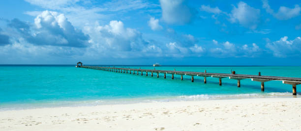 istock tropical Maldives island with white sandy beach and sea 1140523718