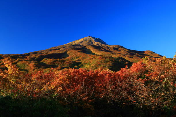 istock Akita Prefecture A mountain of colored leaves 1140526084