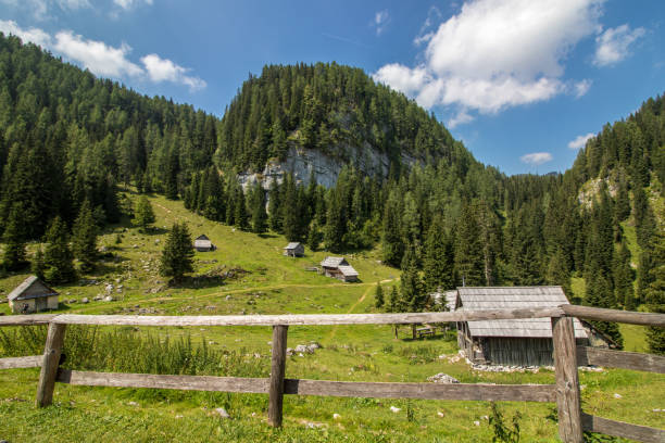 istock mountain pasture Jezero in Bohinj 1140526325