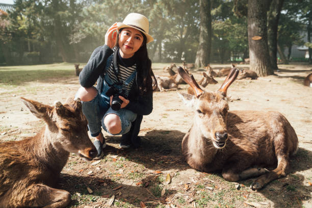 istock woman kneeling down around resting deer 1140526554