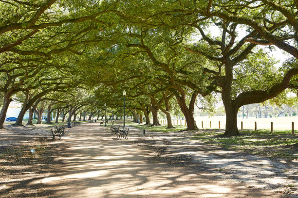 istock Houston Hermann park Marvin Taylor trail 1140535011