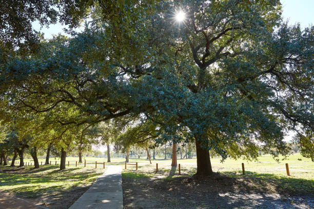 istock Houston Hermann park Marvin Taylor trail 1140535228