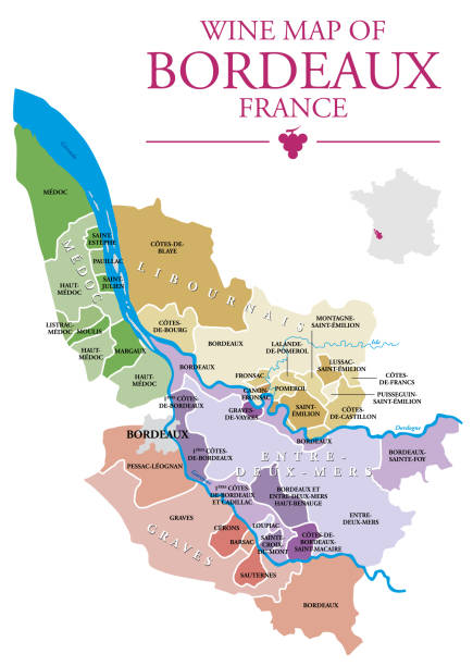 Bordeaux Wine Map Map of Bordeaux wine vineyard merlot grape stock illustrations