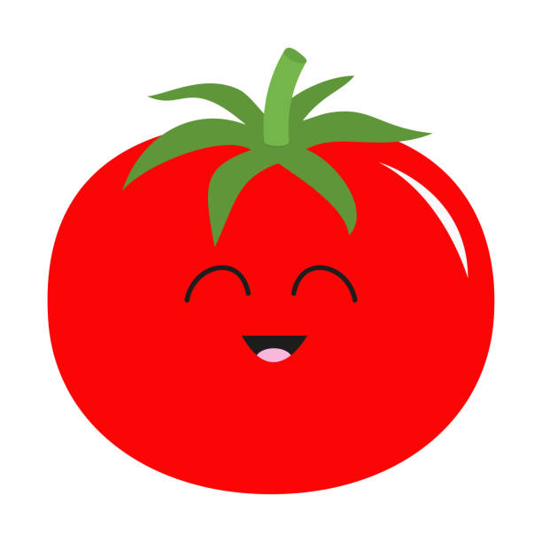 Tomato with leaves icon. Red color. Vegetable collection. Fresh farm healthy food. Smiling face. Cute cartoon character. Education card for kids. Flat design. White background. Isolated. Tomato with leaves icon. Red color. Vegetable collection. Fresh farm healthy food.Smiling face. Cute cartoon character. Education card for kids. Flat design. White background. Isolated. Vector tomato face stock illustrations