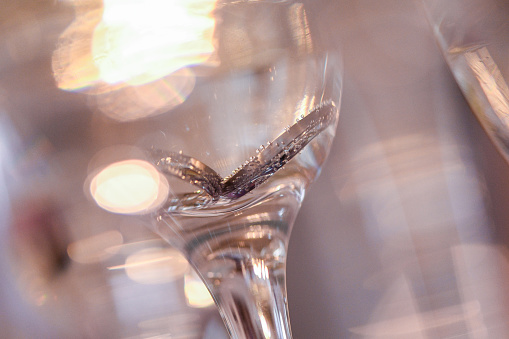 rings in glasses with champagne , close up