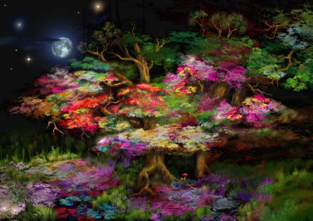 bildbanksillustrationer, clip art samt tecknat material och ikoner med magisk natt i sago skogen - moon forest