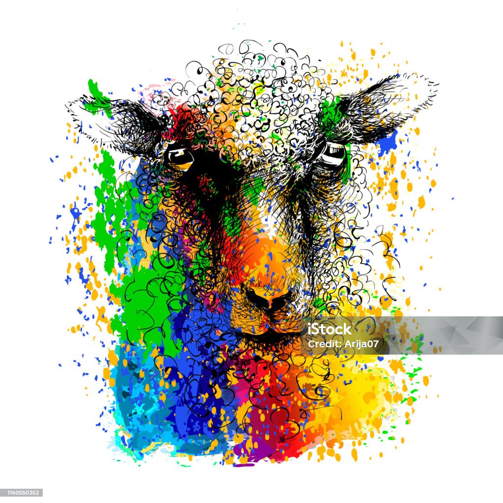 Sheep lamb head, ink drawing sketch   isolated on white Sheep head, ink drawing sketch,  isolated on white. Colorful portrait of the face of a lamb. Etching stock vector