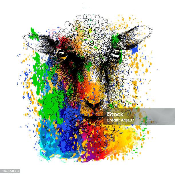 Sheep Lamb Head Ink Drawing Sketch Isolated On White Stock Illustration - Download Image Now