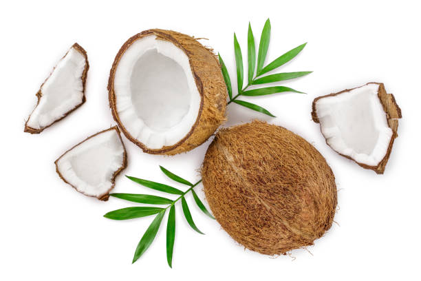 istock coconut with leaves isolated on white background. Top view. Flat lay 1140553765