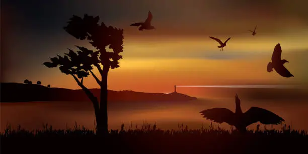 Vector illustration of Viewpoint on a Bay a sunset with a seagulls flight.