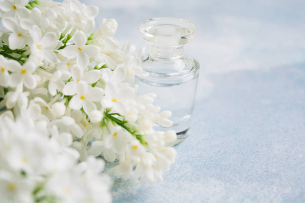 istock Fragrance on glass bottle for perfume with white lilac 1140557227