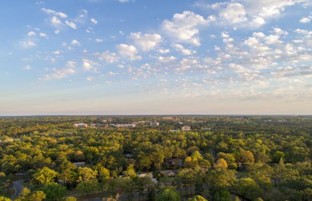 istock University of South Alabama 1140559248